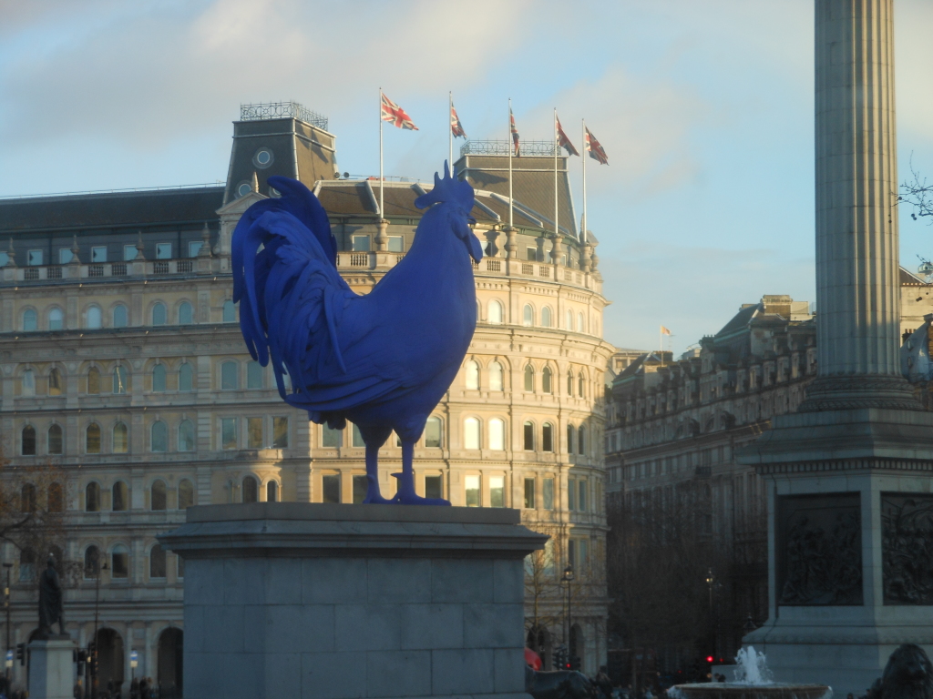 Trafalgar Rooster