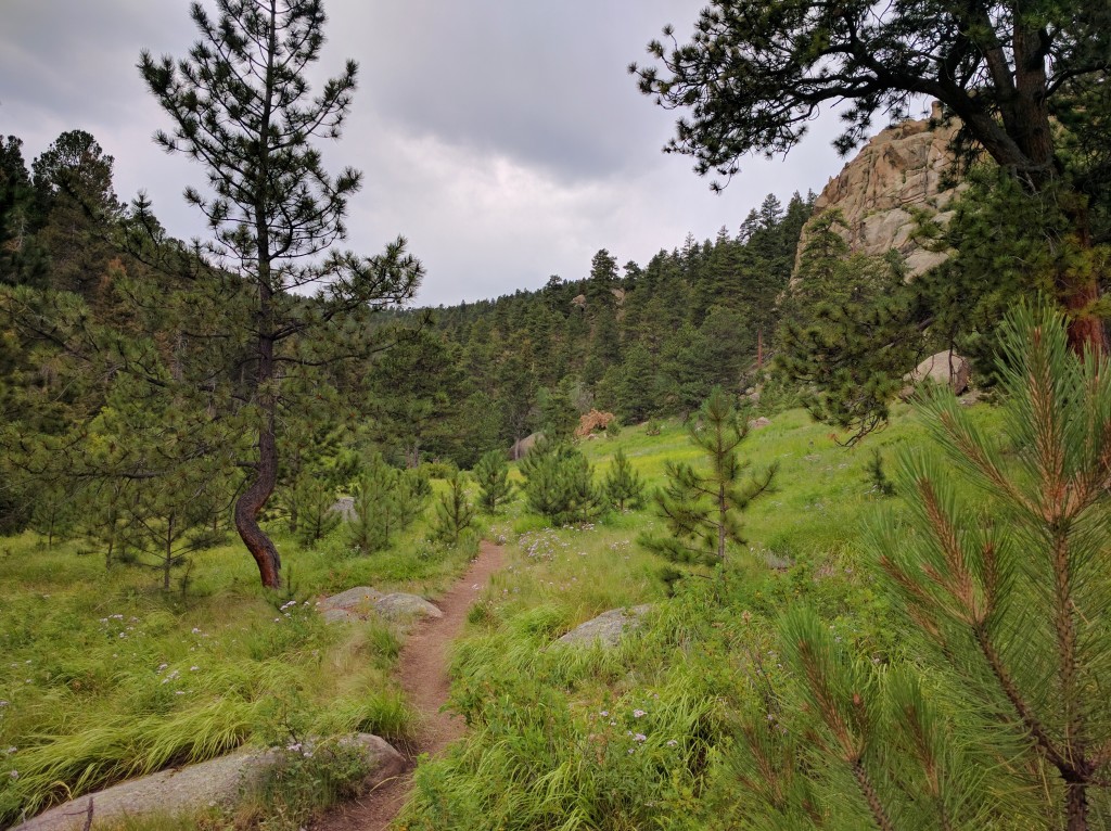 Garden of Eden Meadow