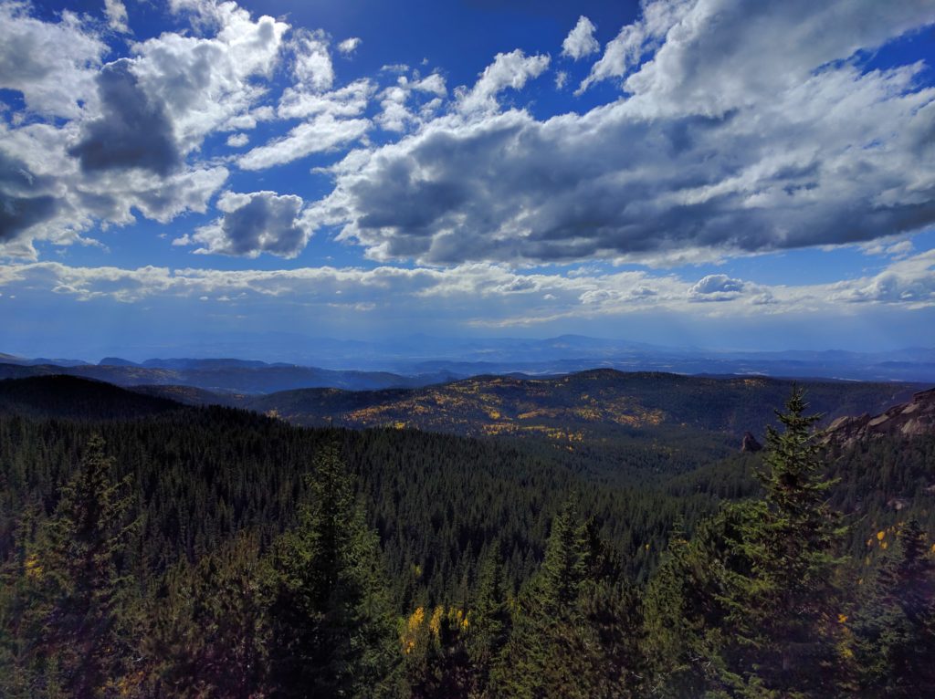 Distant Aspens