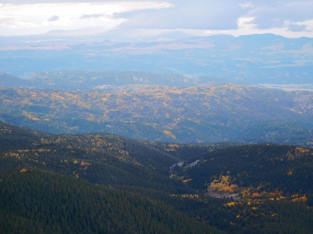 Distant Aspens 2