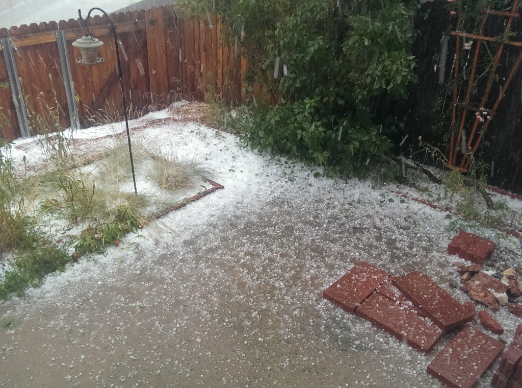 Hail!